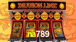 Premium Interface na789